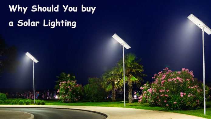 Why Should You buy a Solar Lighting